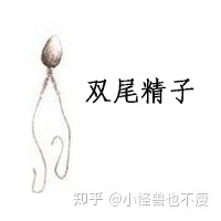 一代試管和二代試管的區(qū)別_畸形率高影響試管成功率(圖11)