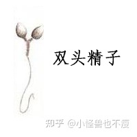 一代試管和二代試管的區(qū)別_畸形率高影響試管成功率(圖10)