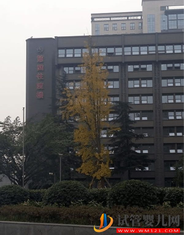 成都中醫藥大學附屬生殖婦幼醫院試管嬰兒成功率、費用指南(圖4)