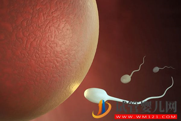 判斷精子進入子宮有3種方法，檢測血液hcg值只是其一(圖1)