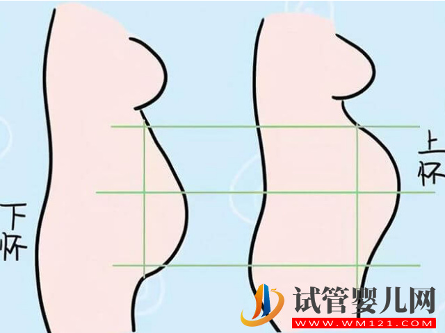 版清宮表生男生女圖分享，正確推算成功率達到100%(圖1)