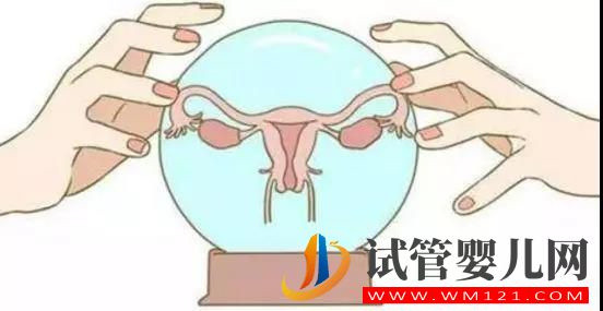 卵泡不發育嗎？你錯了，養卵小妙招用起來，分分秒秒助懷(圖1)