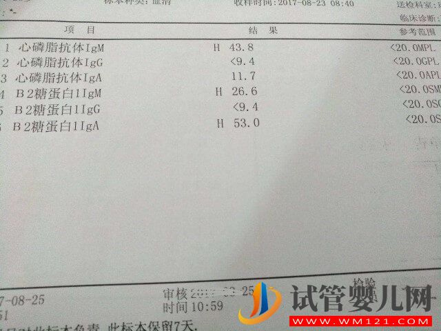 抗心磷脂抗體陽性可以利用試管技術懷孕生子嗎？(圖1)
