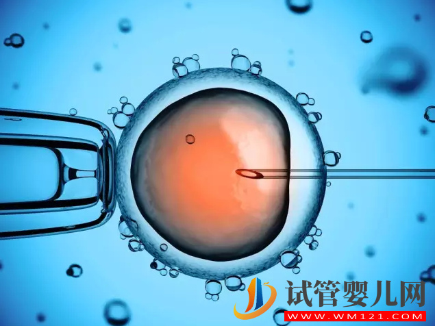 試管嬰兒如何建檔產檢，什么時候建檔產檢(圖1)