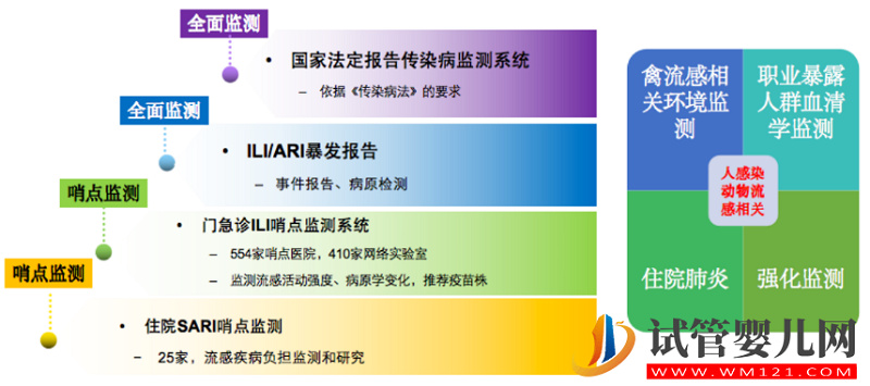 國家流感中心針對近期流感疫情形勢分析(圖5)