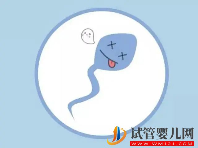患了死精癥會(huì)出現(xiàn)哪些癥狀(圖1)