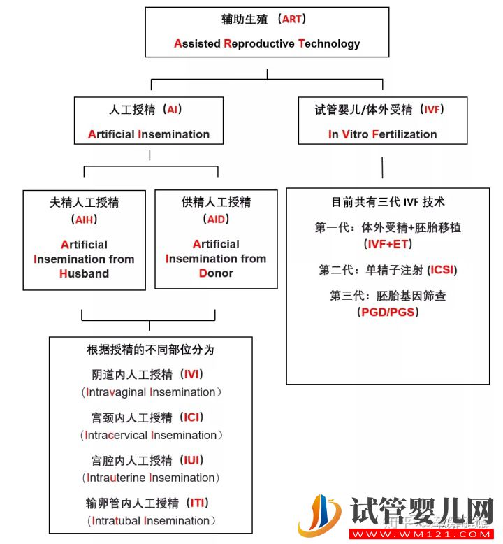 一篇文章看懂輔助生殖(圖2)