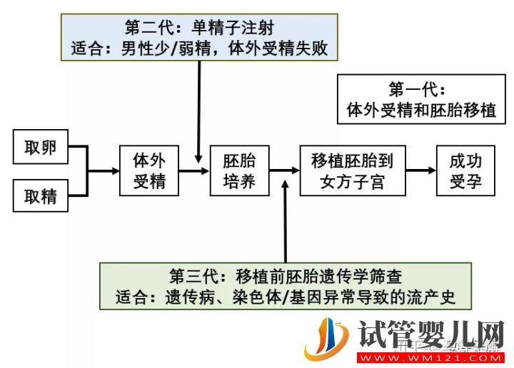 一篇文章看懂輔助生殖(圖5)
