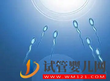無精癥怎樣可以恢復精子(圖1)