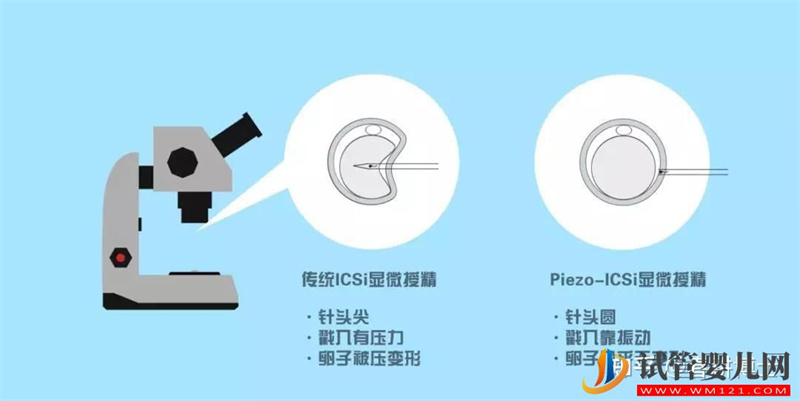 要不要養囊胚,如何提高養囊成功率(圖8)