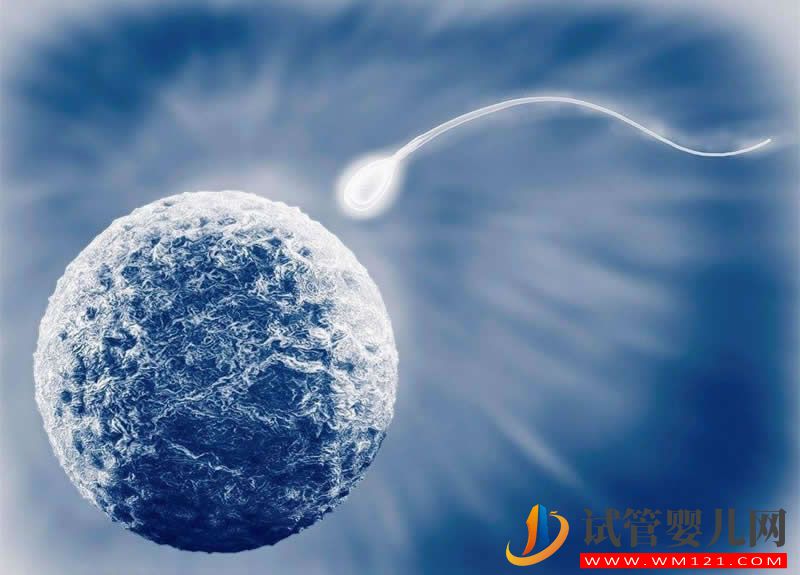 什么是迷你試管嬰兒，據(jù)說是試管嬰兒更便宜、侵入性更小的替代品？(圖3)