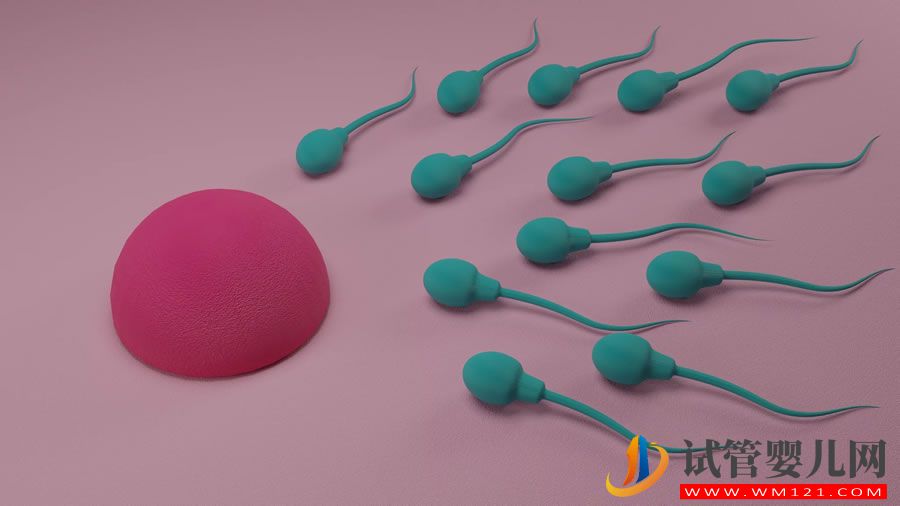 生育潤滑油會影響您懷孕的機會嗎？(圖1)
