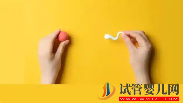 做試管嬰兒，這些是您必須避免的 5 個(gè)錯(cuò)誤(圖2)