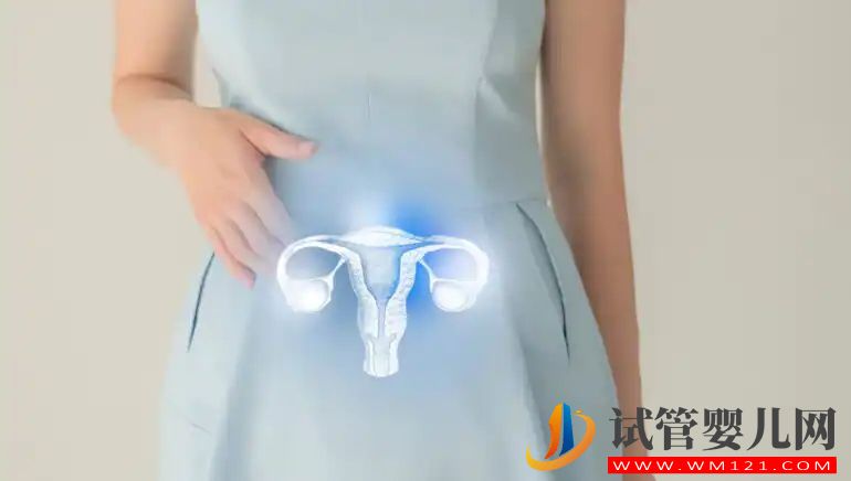 什么是敵對子宮？了解它如何導致不孕(圖1)