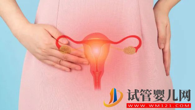 什么是敵對子宮？了解它如何導致不孕(圖2)