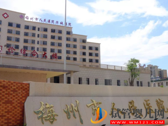 廣東三代試管嬰兒醫(yī)院排名，詳細費用、成功率一并附上(圖1)