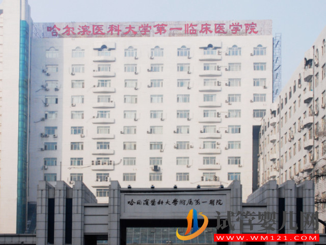 哈爾濱做人工授精成功率最高醫院盤點，哈醫大一、二院皆上榜(圖1)