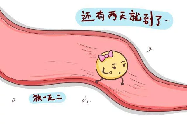 產后月經量少是卵巢早衰?(圖1) 產后月經量少是卵巢早衰?(圖1)