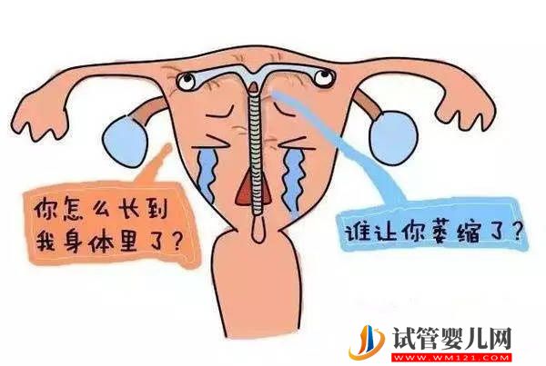 產后什么時間放環(huán)及其注意事項(圖1)