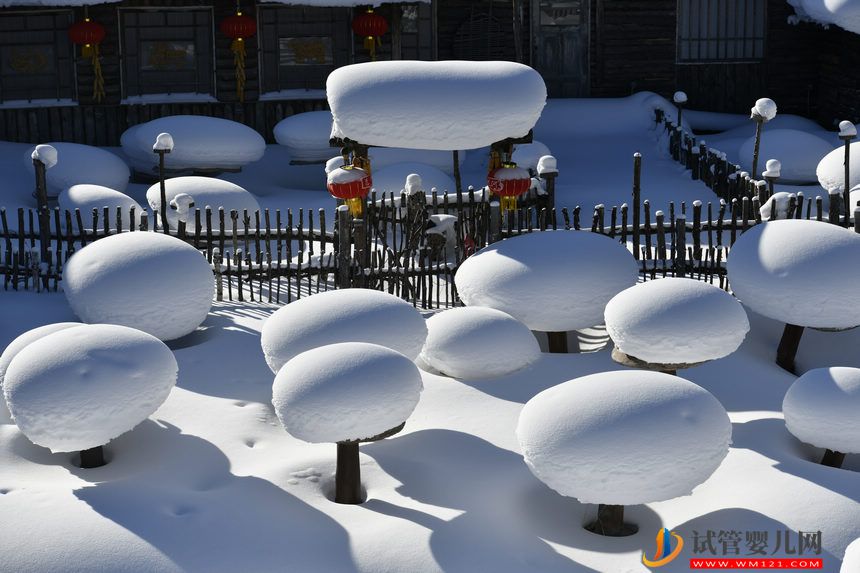 “雪”迎八方客 中國(guó)雪鄉(xiāng)景區(qū)正式開園(圖4)