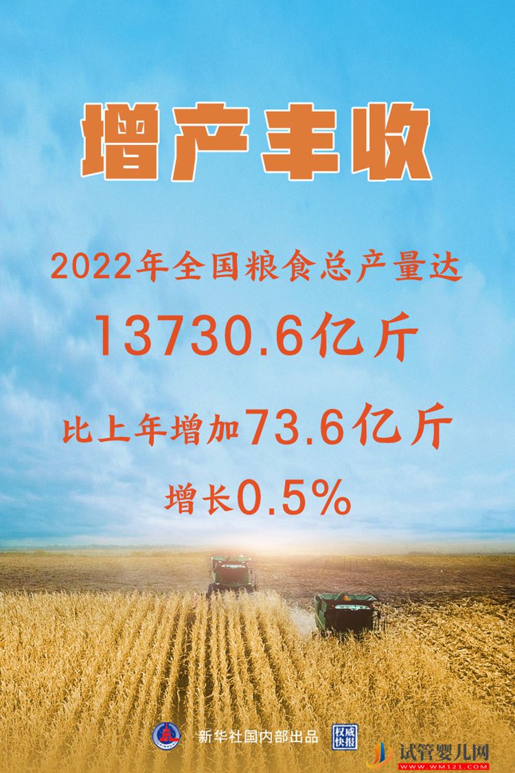 全國糧食總產(chǎn)量達(dá)13731億斤 實現(xiàn)增產(chǎn)豐收(圖7)