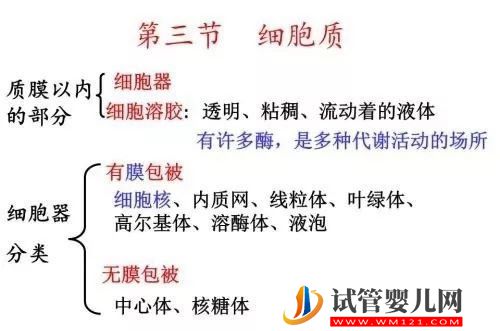 “一父二母”的第四代試管嬰兒——心動(dòng)與挑戰(zhàn)并存(圖3)