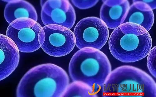 “一父二母”的第四代試管嬰兒——心動(dòng)與挑戰(zhàn)并存(圖5)