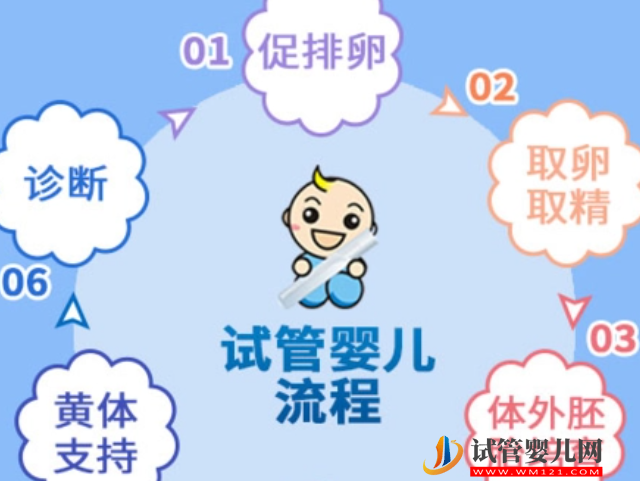 鄭州供精試管嬰兒流程圖，單個周期費用不超過這個數(shù)(圖1)