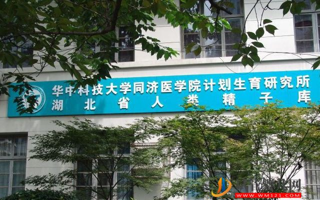2023湖北精子庫大全，醫院買精子供精人工受孕費用參考(圖2)