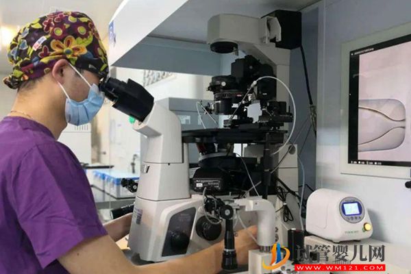 女方有蠶豆病可做試管選擇性別，但并非只能做三代助孕(圖2)