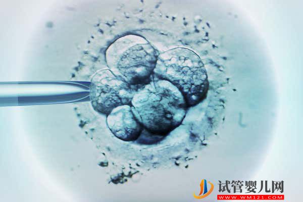 海南人工授精醫(yī)院一共有8家，哪家好等你來揭曉(圖1)