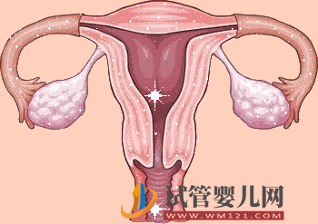 河源胚胎喜歡什么樣的子宮內膜？(圖5)