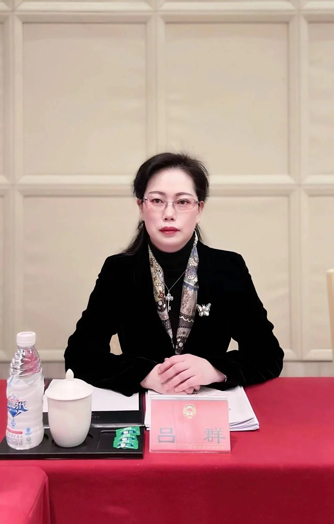 成都市政協(xié)委員呂群:激勵(lì)生育力 推進(jìn)輔助生殖技術(shù)相關(guān)費(fèi)用納入醫(yī)保(圖1) 成都市政協(xié)委員呂群:激勵(lì)生育力 推進(jìn)輔助生殖技術(shù)相關(guān)費(fèi)用納入醫(yī)保(圖1)
