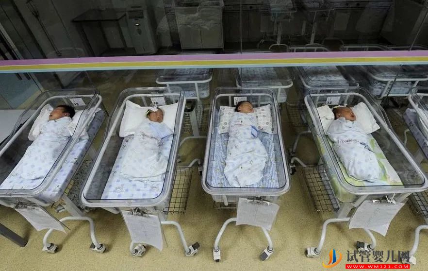 有條件放開“凍卵”、“試管嬰兒”，政協委員為大齡未婚女性生育支招(圖1)