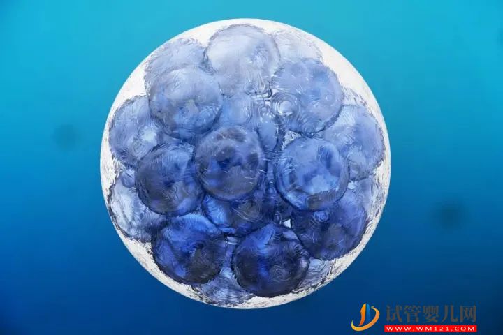 干細胞最全的科普，拿走不謝！(圖1)