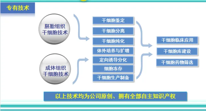 干細胞最全的科普，拿走不謝！(圖6)