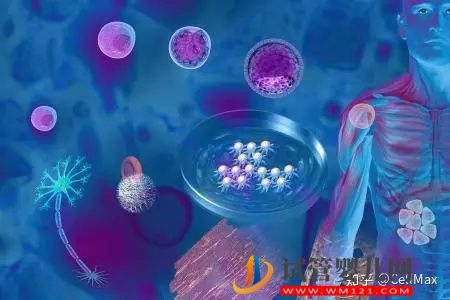 近期干細(xì)胞研究進(jìn)展匯總！(圖1)