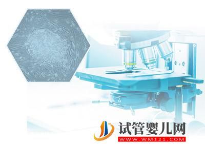 干細(xì)胞研究與應(yīng)用——為人類生命健康提供保障（開卷知新）(圖2)