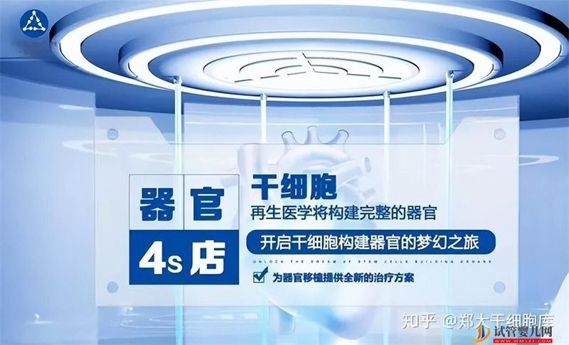 什么是干細胞,干細胞有哪些“奇特”功效(圖2) 什么是干細胞,干細胞有哪些“奇特”功效(圖2)
