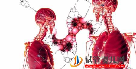 醫學科普醫學界熱議的干細胞到底是什么東西?(圖3) 醫學科普醫學界熱議的干細胞到底是什么東西?(圖3)