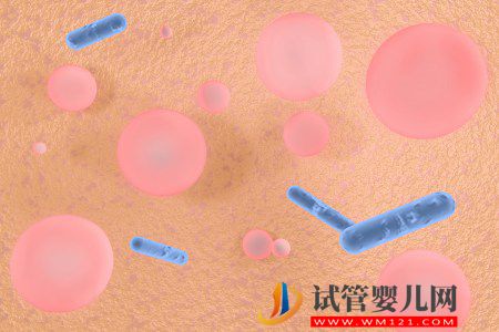 科普|我們所說的干細胞,到底是什么?(圖1) 我們所說的干細胞,到底是什么?(圖1)