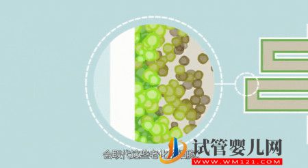 科普|我們所說的干細胞,到底是什么?(圖2) 我們所說的干細胞,到底是什么?(圖2)