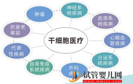 科普|我們所說的干細胞,到底是什么?(圖4) 我們所說的干細胞,到底是什么?(圖4)