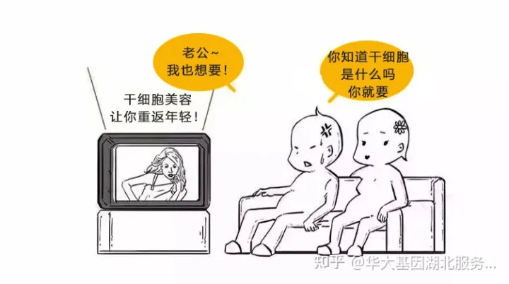 什么是干細胞?一文讓你讀懂!(圖1) 什么是干細胞?一文讓你讀懂!(圖1)