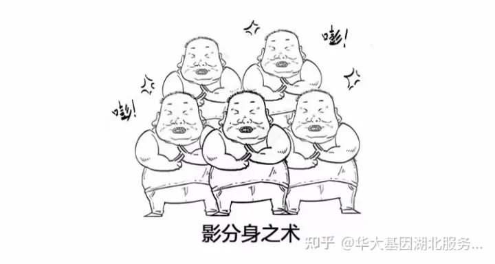 什么是干細胞?一文讓你讀懂!(圖5) 什么是干細胞?一文讓你讀懂!(圖5)