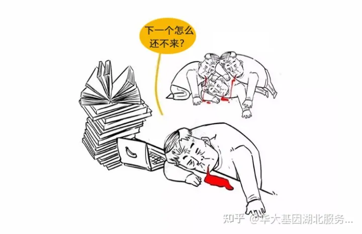 什么是干細胞?一文讓你讀懂!(圖13) 什么是干細胞?一文讓你讀懂!(圖8)