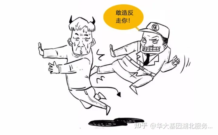 什么是干細胞?一文讓你讀懂!(圖16) 什么是干細胞?一文讓你讀懂!(圖10)