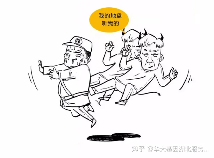 什么是干細胞?一文讓你讀懂!(圖17) 什么是干細胞?一文讓你讀懂!(圖11)