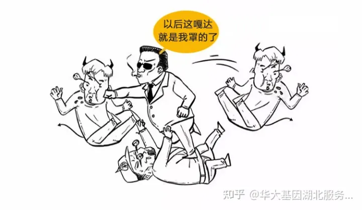 什么是干細胞?一文讓你讀懂!(圖19) 什么是干細胞?一文讓你讀懂!(圖13)