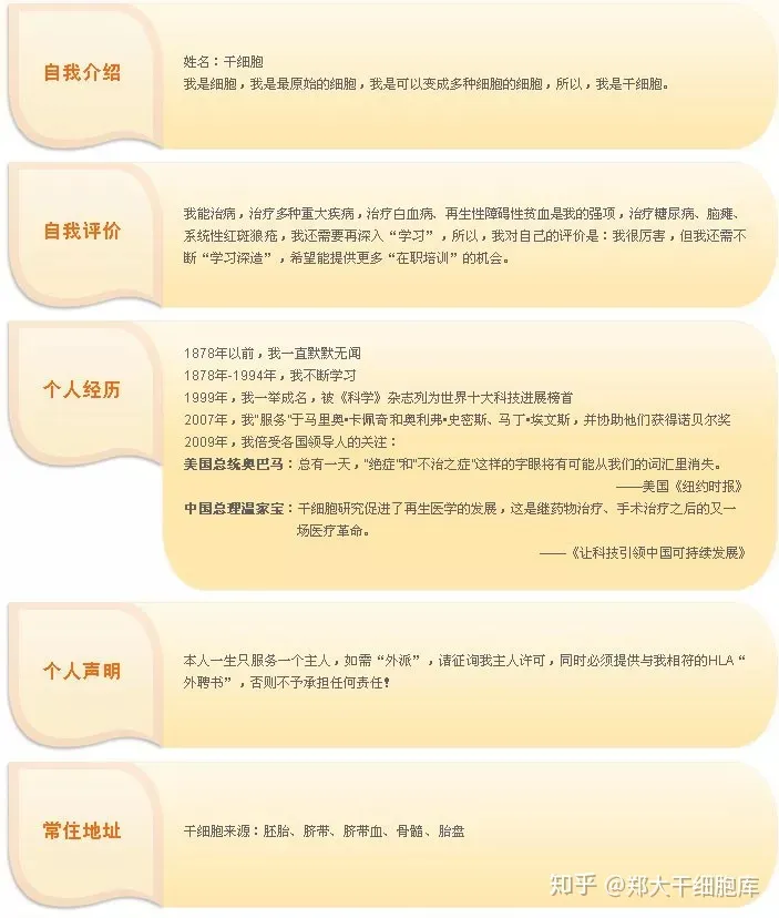 干細(xì)胞簡(jiǎn)介——什么是干細(xì)胞?(圖2) 干細(xì)胞簡(jiǎn)介——什么是干細(xì)胞?(圖2)